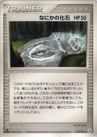 なにかの化石