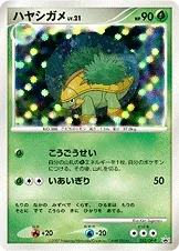 ハヤシガメ