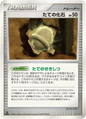 たての化石