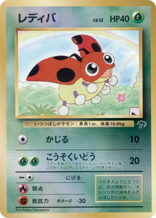レディバ