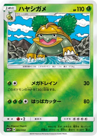 ハヤシガメ