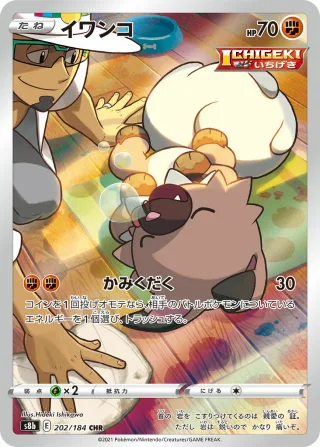 イワンコ
