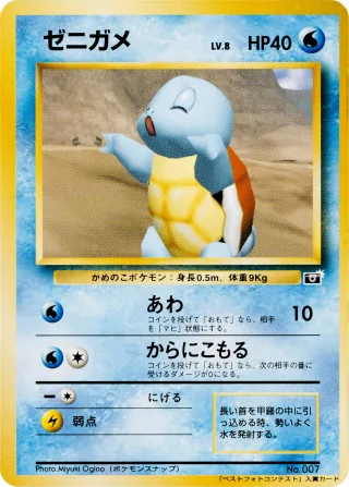 ゼニガメ